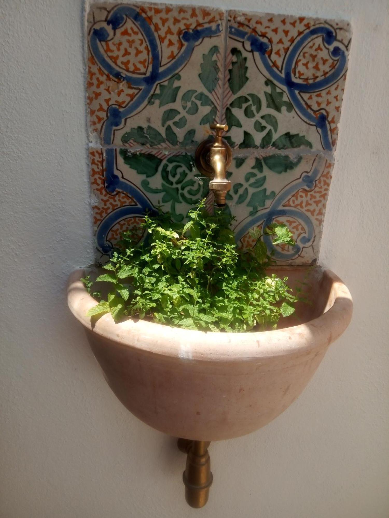 Il Terrazzino Sul Kemonia Apartamento Palermo Exterior foto