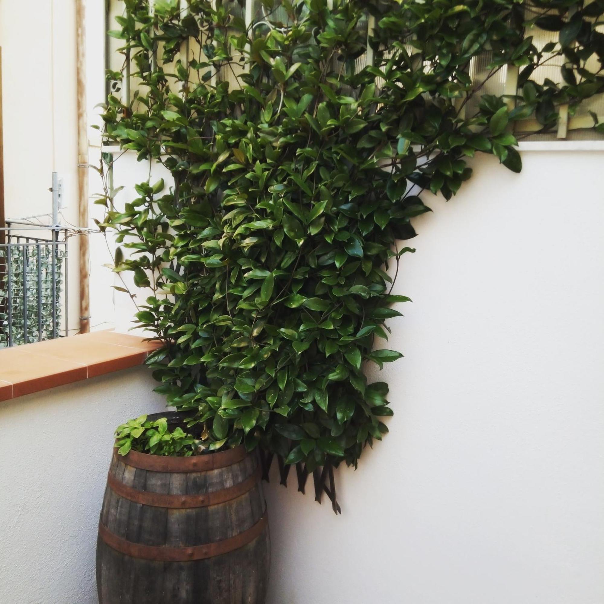 Il Terrazzino Sul Kemonia Apartamento Palermo Exterior foto